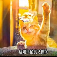 用户8900201166897头像