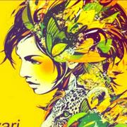 张宇航的个人资料头像