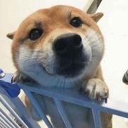 冬日的夕歌的个人资料头像