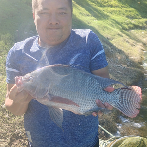 小明明钓鱼头像