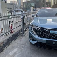 寒天秋水一色头像