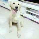 请叫我丿小爷头像