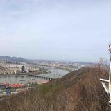 东启413头像