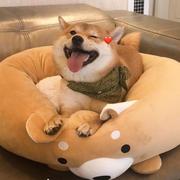 天晴心乐的个人资料头像