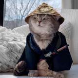 清酒绘余生头像