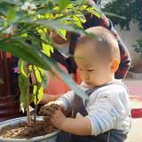 拂晓3201头像