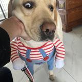 扣脚的妹子头像