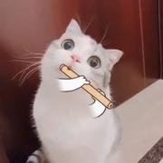 庄泽杰7的个人资料头像