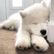 Aries882的个人资料头像