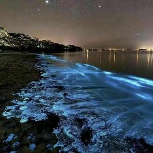 水色语风头像