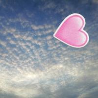 骑着猪八戒上高速头像