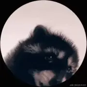 阿深V的个人资料头像