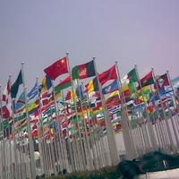 龙凤呈祥幸福安康头像