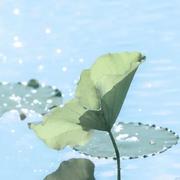 Aqq的个人资料头像