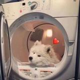 领悟166666498015头像