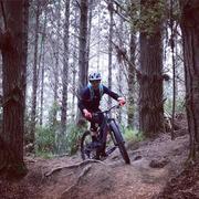 AdrianRen的个人资料头像