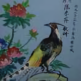 用户614591203655头像