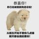 我姓白我们只能拜拜头像