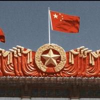 小濠总头像