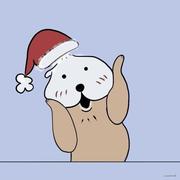 前端小学生_的个人资料头像