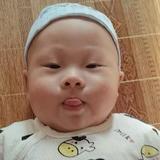 一往无前葡萄N4o头像