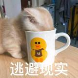 渍渍渍头像