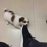 用户4679404802545头像