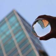 vygotsky的个人资料头像