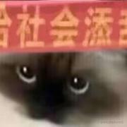 一坨的个人资料头像