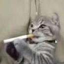 牛蛙675的个人资料头像