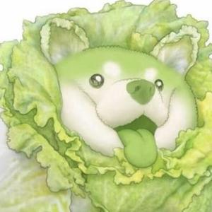 耶路撒冷国际头像