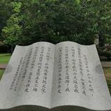 大能猫496头像