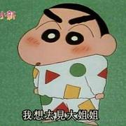 不卷程序员的个人资料头像