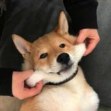 用户3259302666346头像