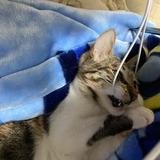 民简小故事头像