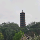 桂乡人的漂流头像