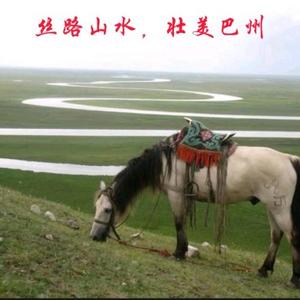 博斯图头像