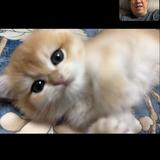金生水起120943656头像