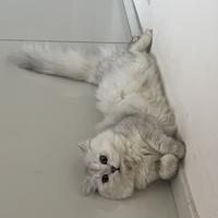 木易176887006头像