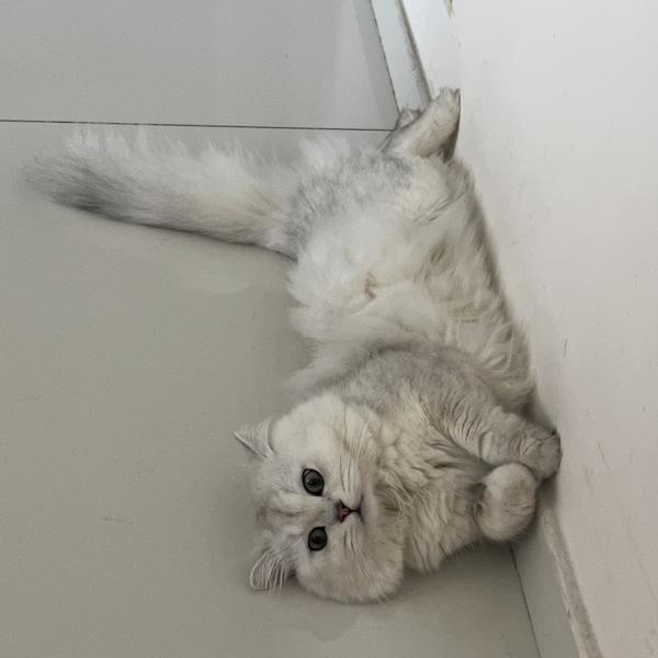 木易176887006头像