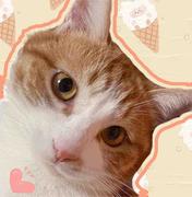 顾清安的个人资料头像