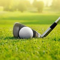 寻找风口的头像