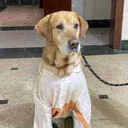 牛油果头的个人资料头像