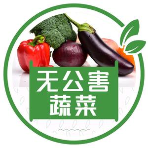 无公害蔬菜种植头像