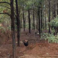 用户9712799613976头像