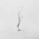 风云不想说话40321的个人资料头像