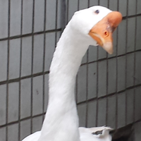 用户9954980166176头像