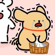 虎头蜂的个人资料头像