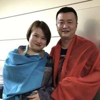 龙燕龙头像
