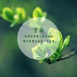 宜恒轩头像